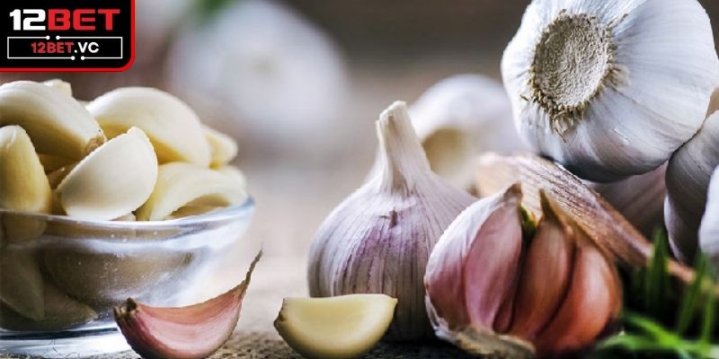 Giải Pháp Và Cách Chữa Gà Bị Khò Khè Bằng Tỏi Hiệu Quả 3 Chi tiết về cách chữa gà bị khò khè bằng tỏi cho sư kê
