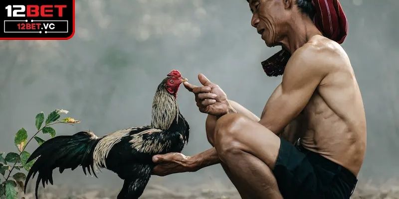 Giải Pháp Và Cách Chữa Gà Bị Khò Khè Bằng Tỏi Hiệu Quả 4 Cần kiên nhẫn trong quá trình điều trị cho gà