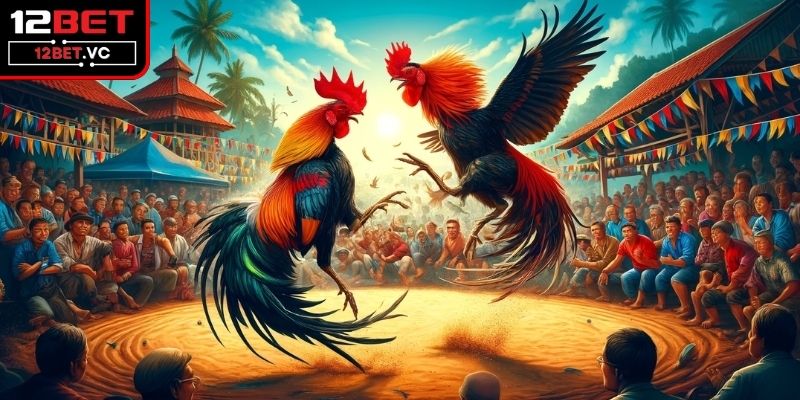 Trang Đá Gà Mạng Uy Tín 12BET Với Những Trận Đấu Hấp Dẫn 3 Giao diện thân thiện
