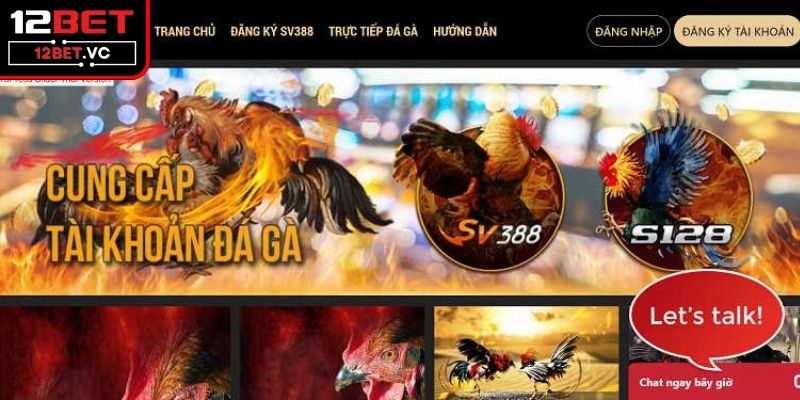 Trang Đá Gà Mạng Uy Tín 12BET Với Những Trận Đấu Hấp Dẫn 2 Thông tin tổng quan về trang đá gà mạng 12BET